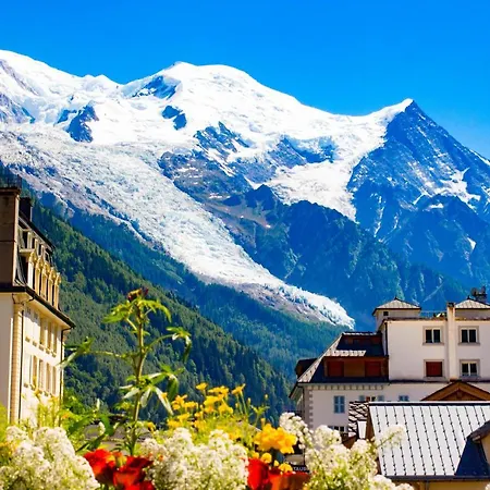 L' Androsace Apartment Chamonix